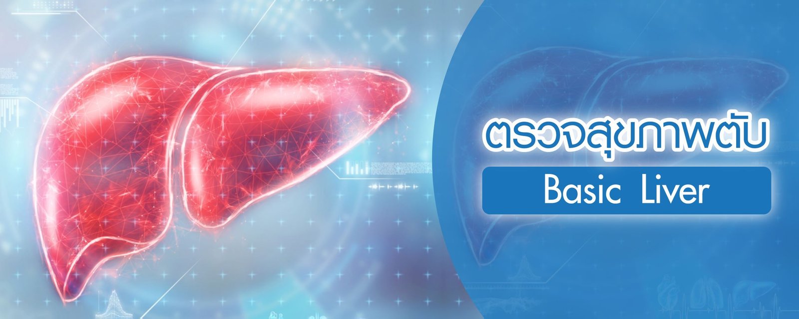โปรแกรมตรวจสุขภาพตับ (Basic Liver)