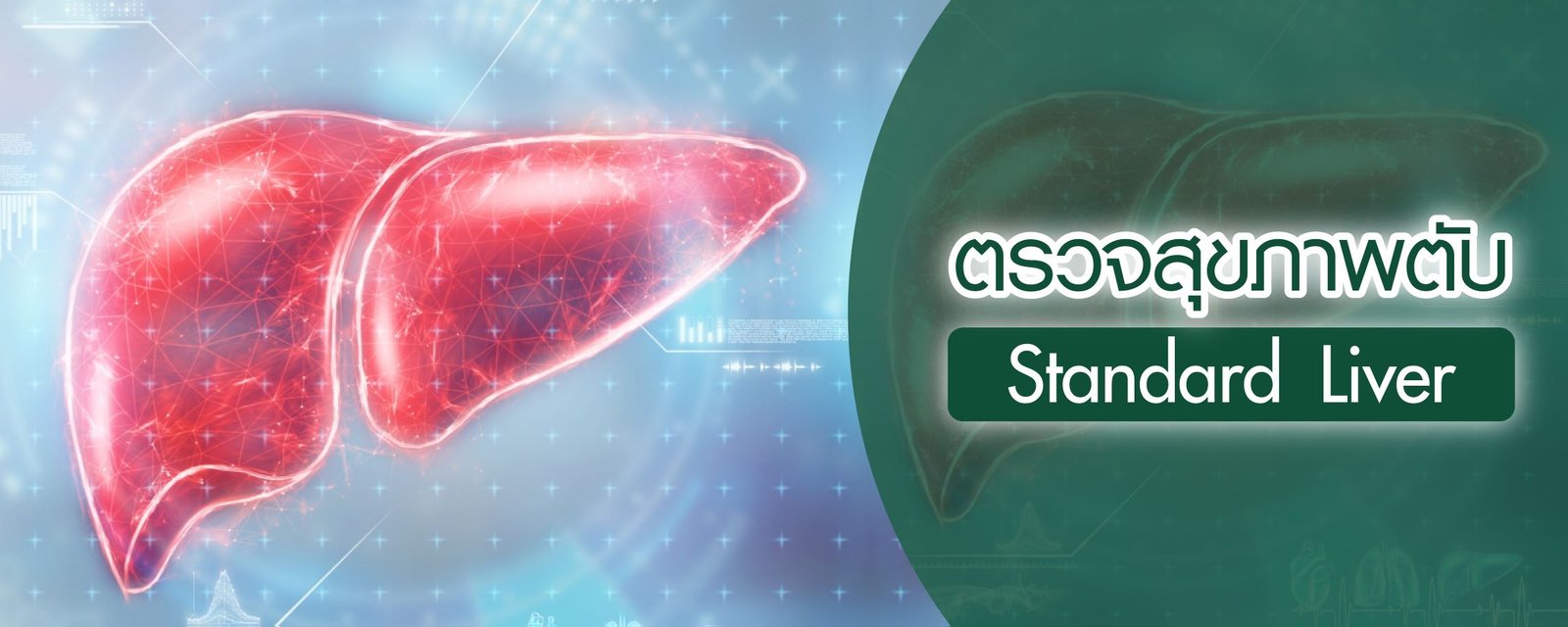 โปรแกรมตรวจสุขภาพตับ (Standard Liver)