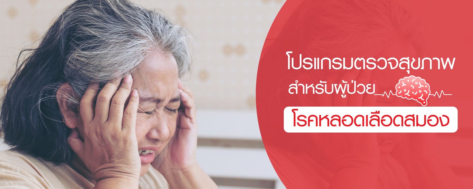 โปรแกรมตรวจสุขภาพสำหรับผู้ป่วยโรคหลอดเลือดสมอง
