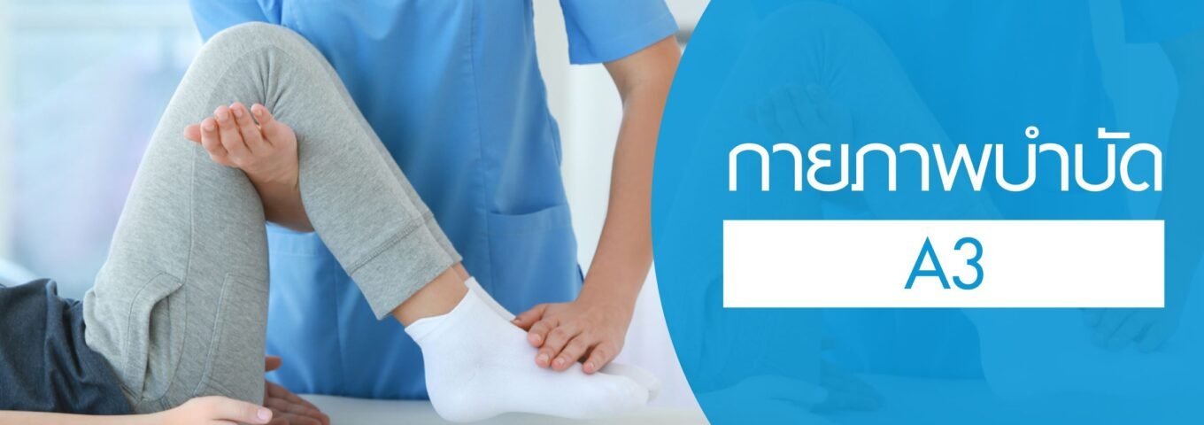 โปรแกรมกายภาพบำบัด A3